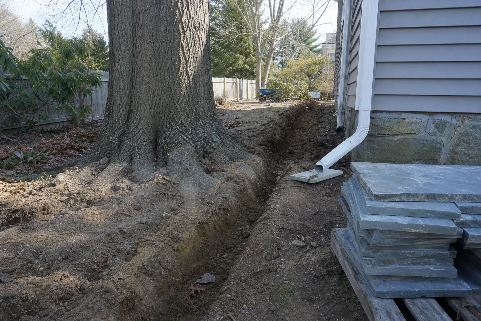 A partially excavated backyard trench running past the root plate of a large mature tree, with a stack of unlaid bluestone pavers nearby and a downspout disc...